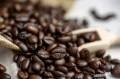 ab498226499d865ab9aa5026f524